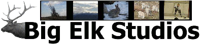 Big Elk Studios Banner